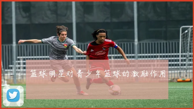 篮球明星对青少年篮球的激励作用